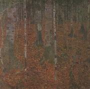 Gustav Klimt Birch Wood (mk20) oil on canvas